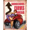 Dangerous Curves Ahead Tin Sign