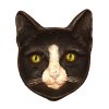 Cat Face Dish main