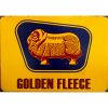 Golden Fleece Ram Gold Background Sign
