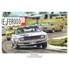 Mopar Magic Bathurst 1971 Chrysler E38 Sign