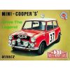 Mini Cooper S Sign