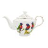 Rainbow Lorikeet Teapot 1L