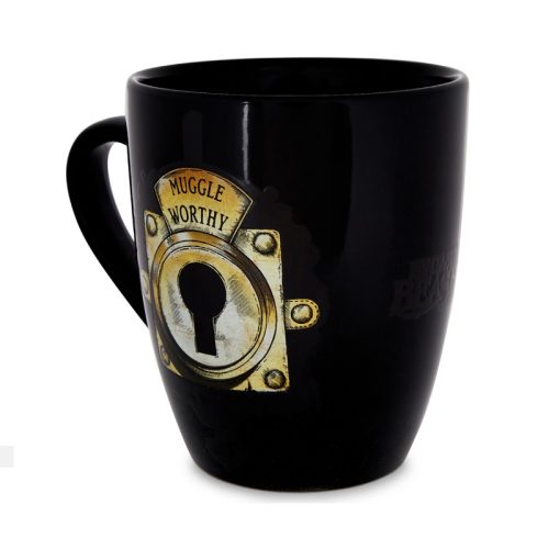 Harry Potter Muggle Worthy Heat Change Mug