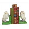 Cast Iron Owl Bookends