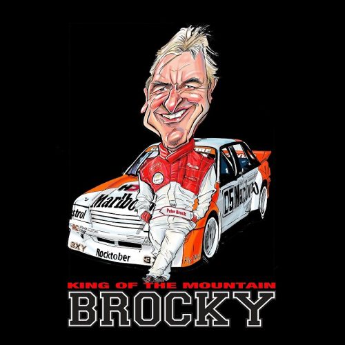 Microfiber Pillowcase Peter Brock Career Design
