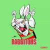 Rabbitohs Cushion Cover
