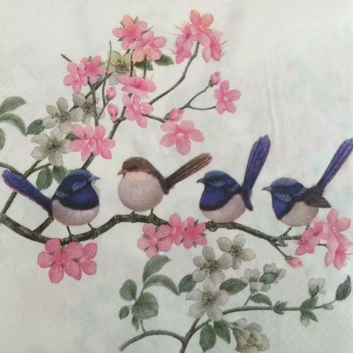 Blue Wren Napkins
