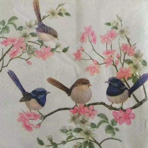 Blue Wren Napkins