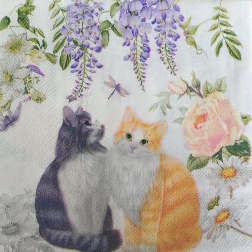 Cats Paper Napkins