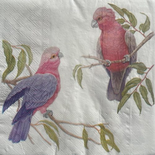 Galah Bird Paper Napkins