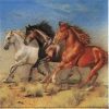 Horse Paper Napkins