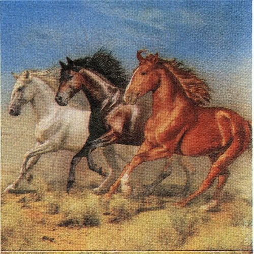 Horse Paper Napkins