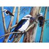 Kookaburra Bird Microfibre Towel