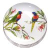 Rainbow Lorikeet Dinner Plates