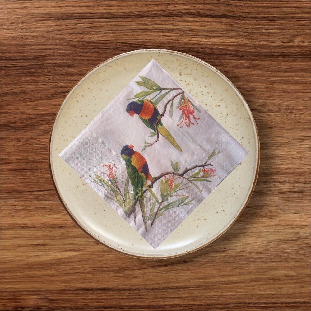 Rainbow Lorikeet Napkins