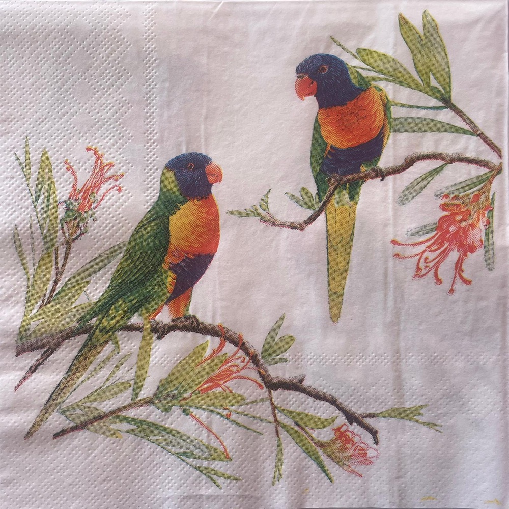 Rainbow Lorikeet Napkins