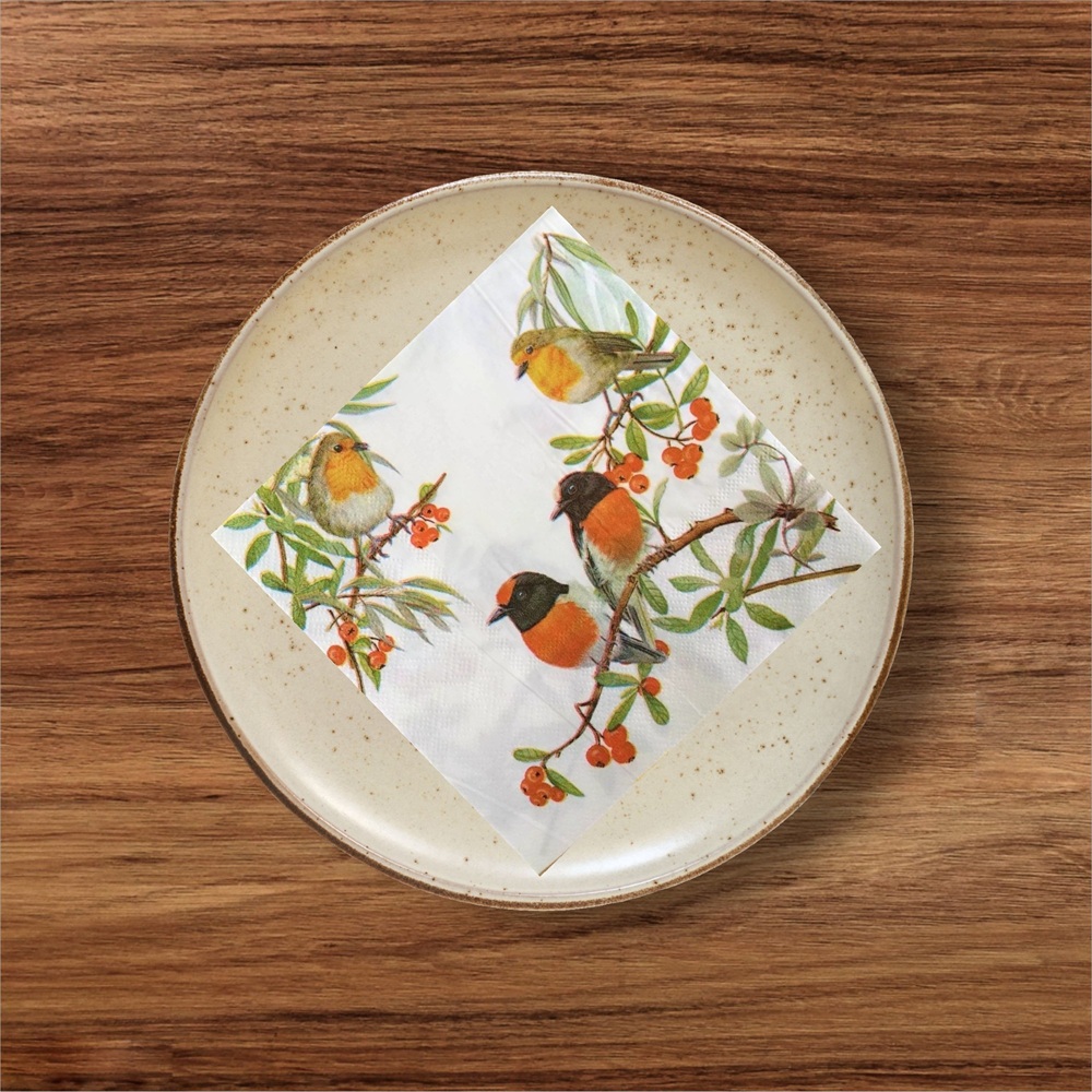 Robin Paper Napkins