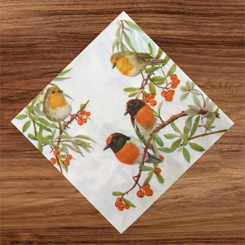 Robin Paper Napkins