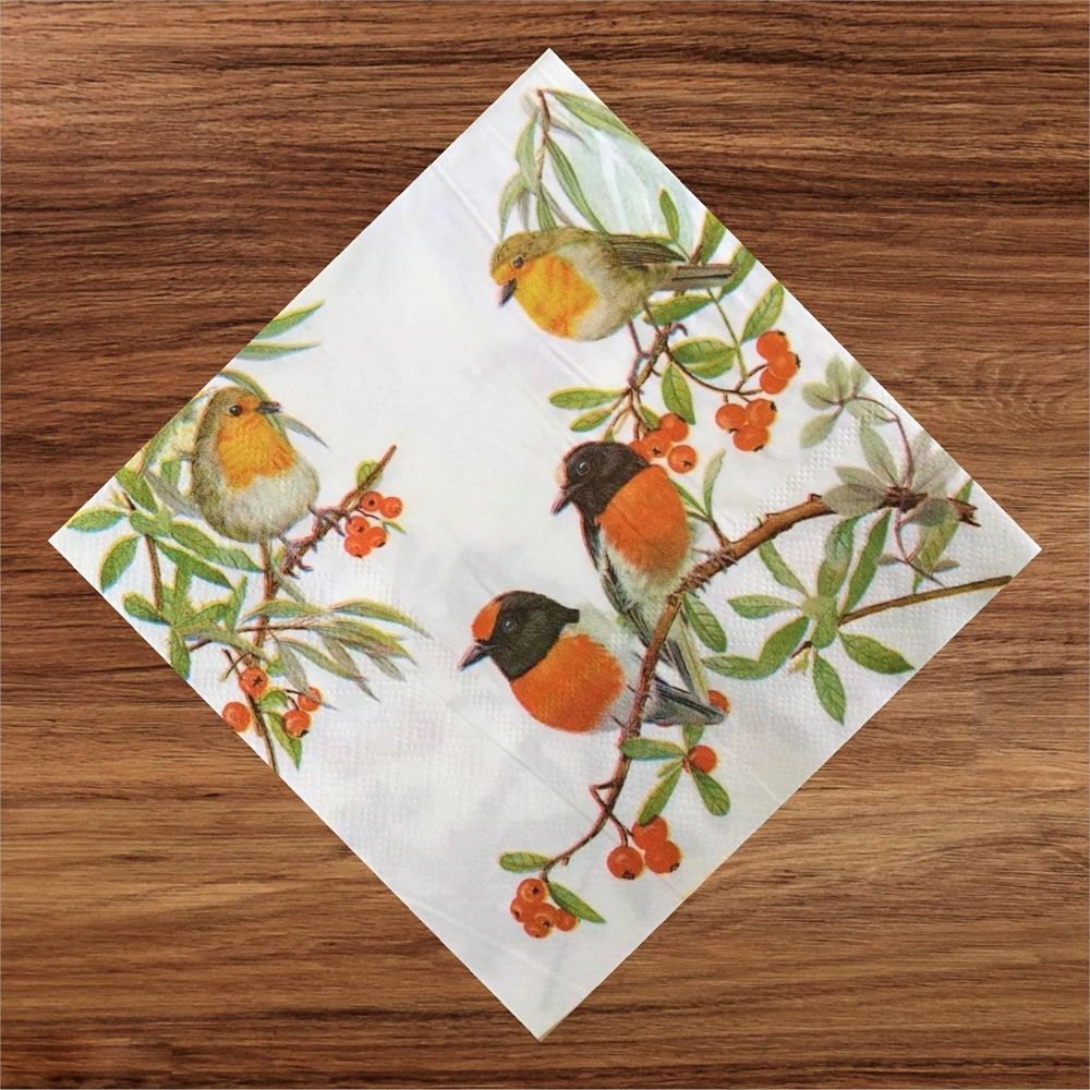 Robin Paper Napkins