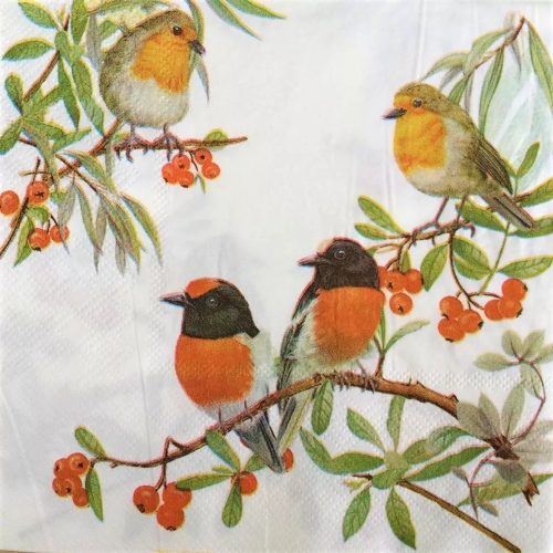 Robin Paper Napkins
