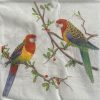 Rosella Bird Paper Napkins