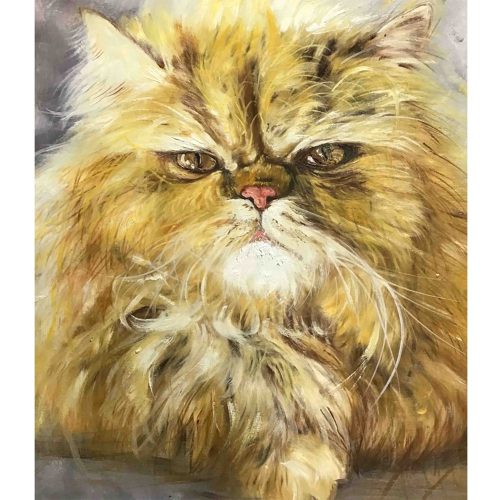 Angry Cat Test Me Blanket