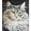 Cat Gentle Moments Blanket