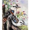 Destany Kookaburra Blanket