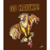 Hawks Blanket
