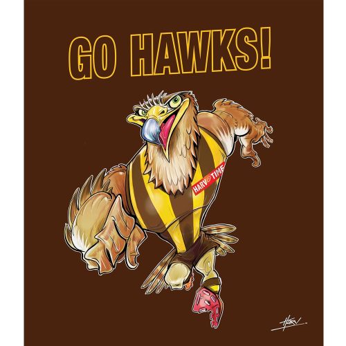 Hawks Blanket