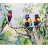 Rainbow Lorikeets Fleece Blanket
