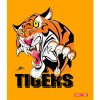Wests Tigers Blanket