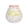 Pot Of Dreams Lovely Mum