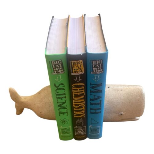 Cast Iron Whale Bookends