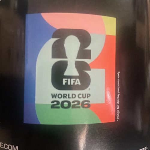 WORLD CUP FLEECE BLANKET